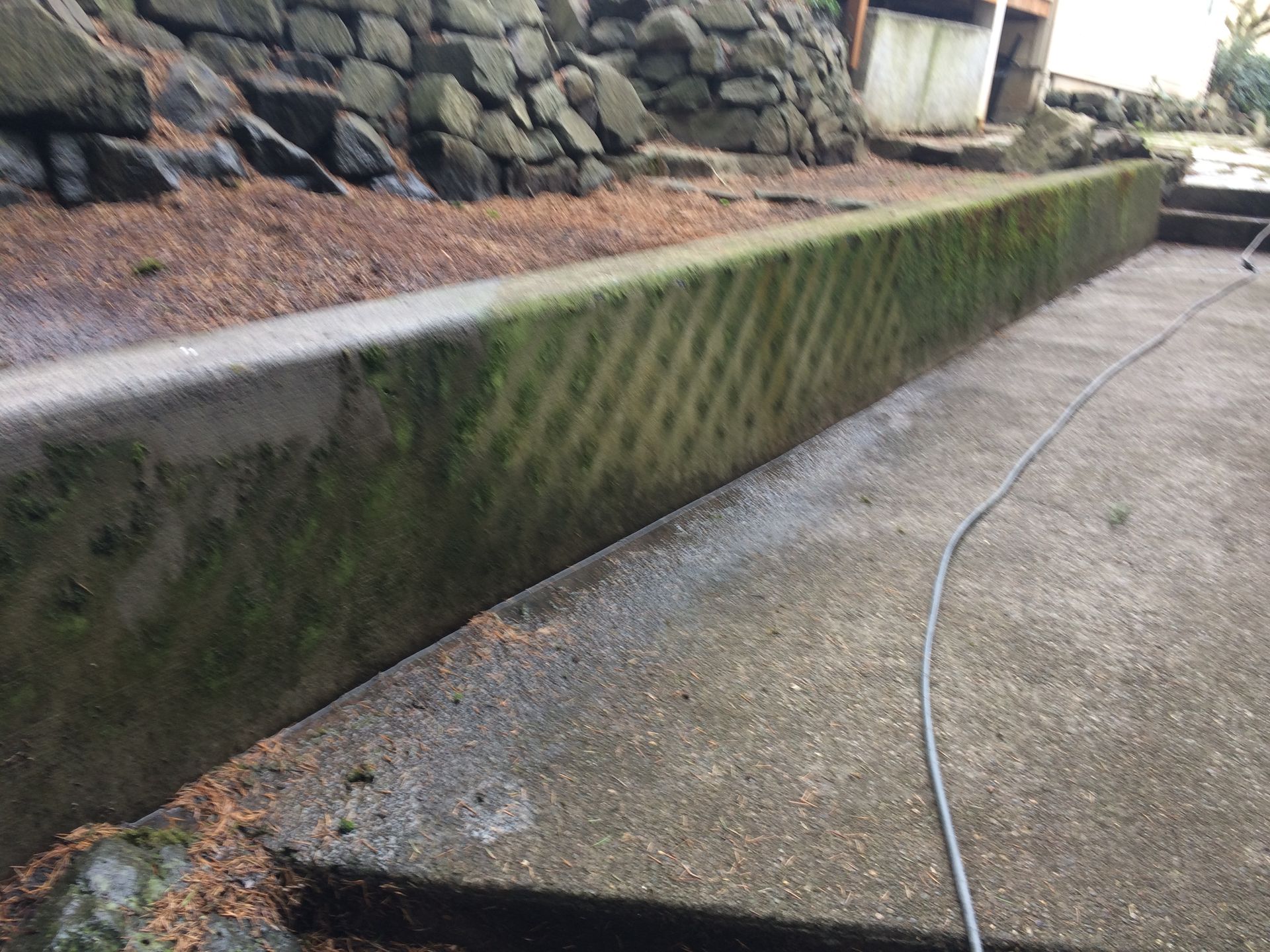 Concrete wall covered in moss; a pressure washer hose is present. Outdoor setting.