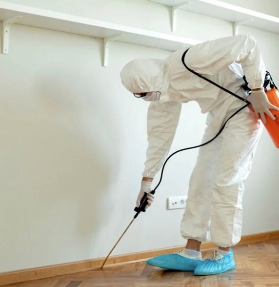 Person in protective suit spraying insecticide along baseboard.