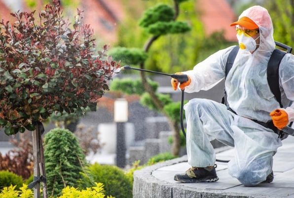 Person in protective suit spraying a plant in a garden.