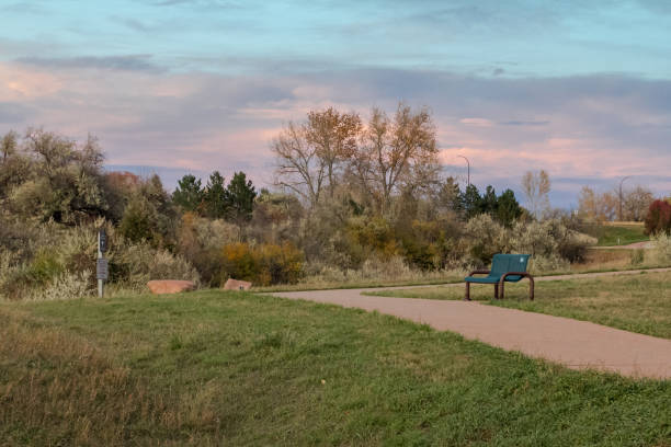 Evening in the Park