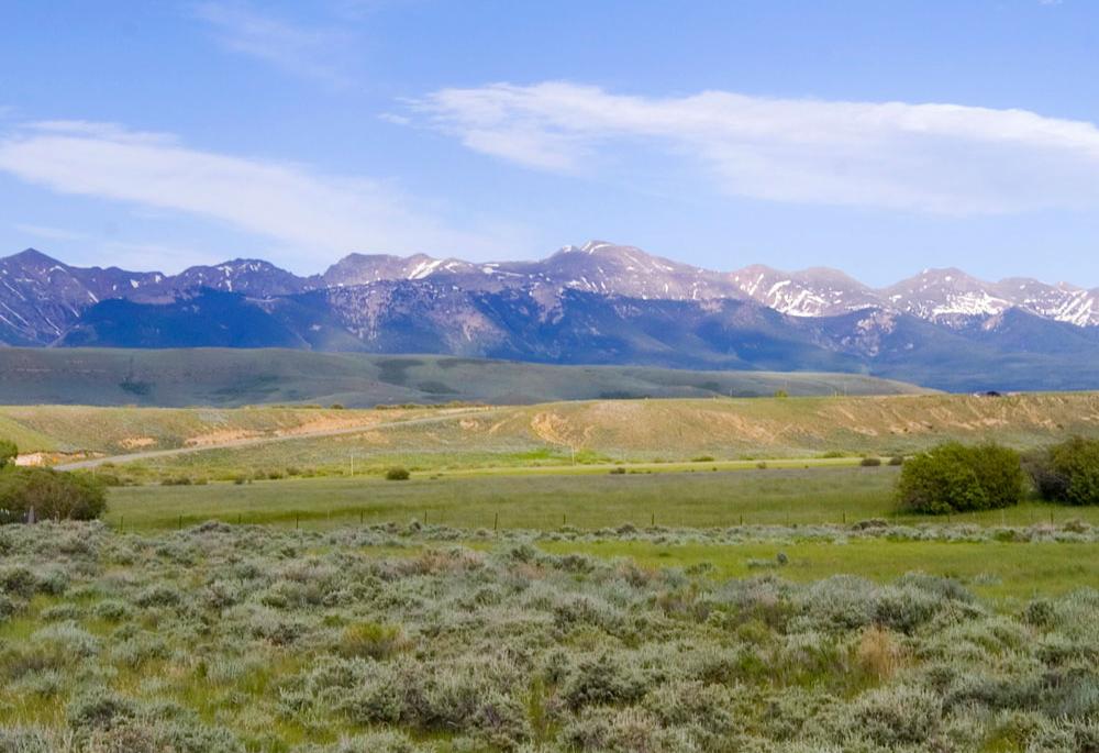 Thornton Landscape