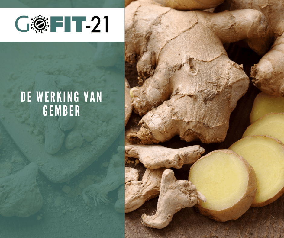 GoFit-21