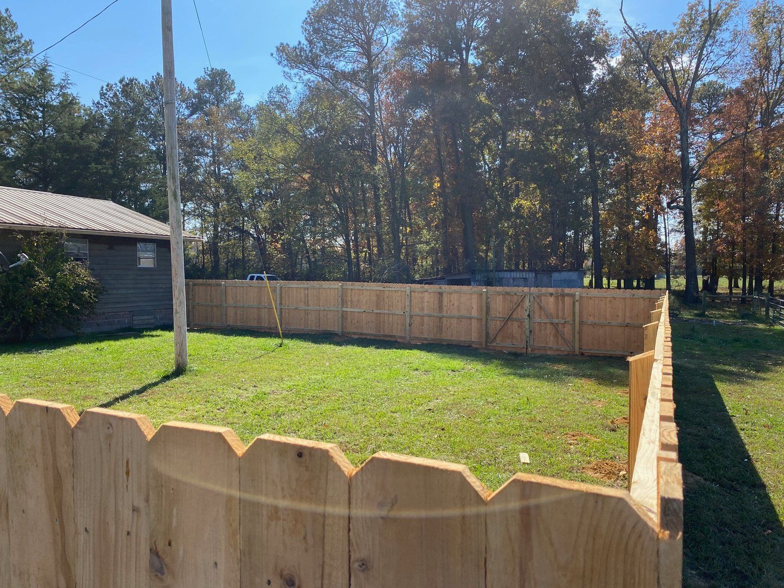 Wooden fenced yard with green grass, small house, and trees in the background. Sunny day.