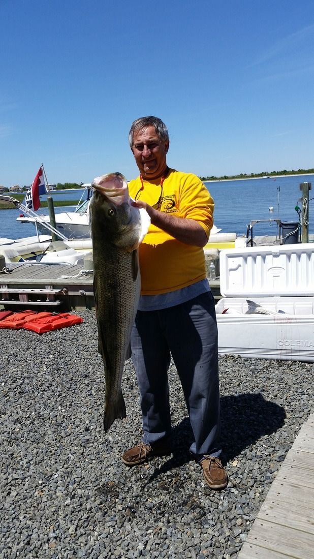 Person holding a large fish by the water on a sunny day