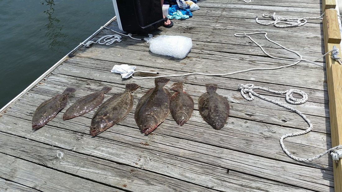 Several fish laid out on a wooden dock beside the water, with a fishing net nearby.