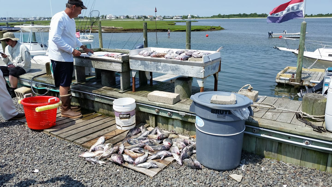 Man unloading fish at a dock beside a boat and buckets, with fish laid out on a table by the water