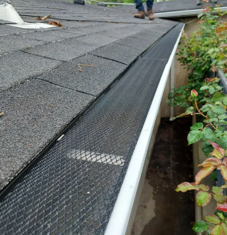 gutter screens services
