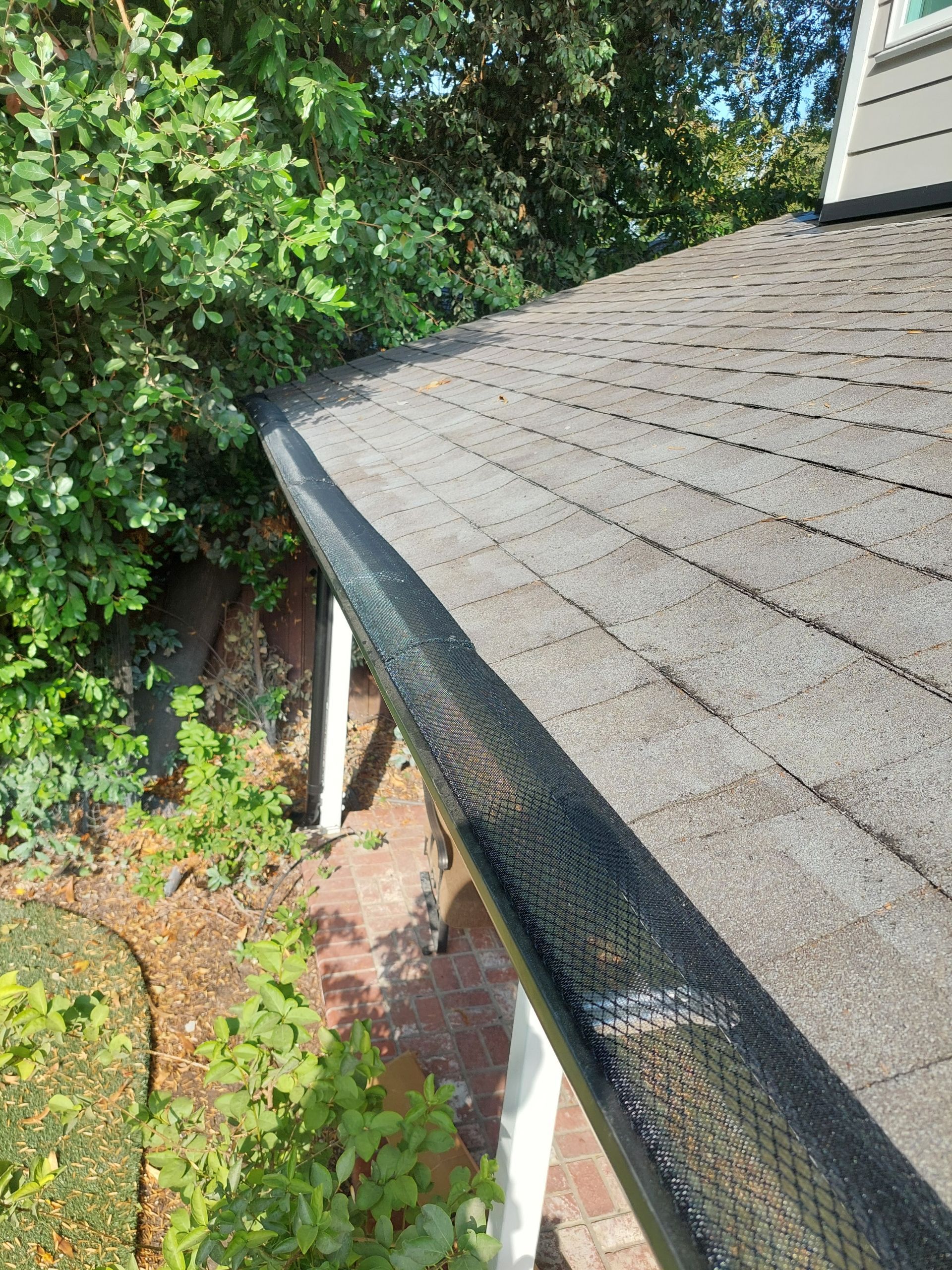 View from a roof edge with gray shingles, gutter, and leafy garden trees below.