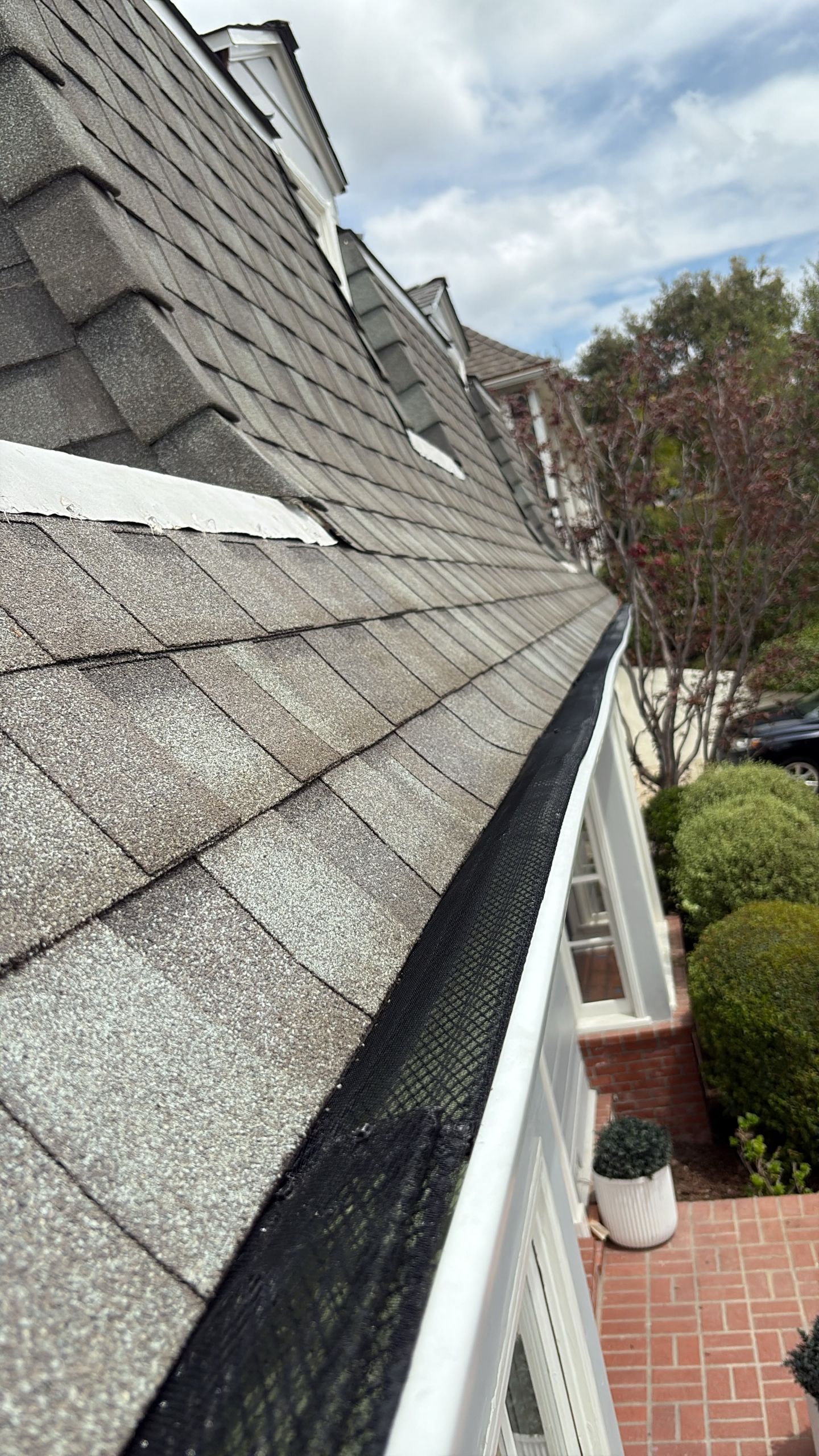 Close-up of a shingled roof and white gutter above a brick patio with plants below.