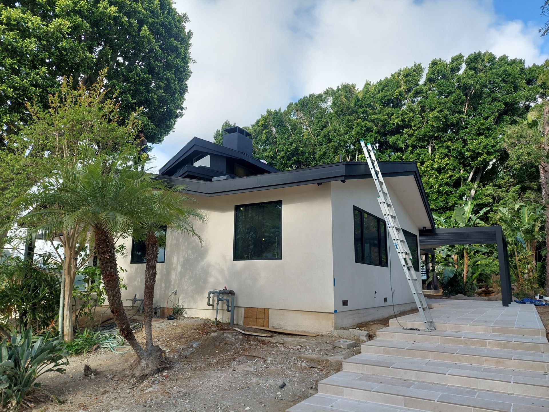 Small white house with dark roof, trees around it, and a ladder leaning near a paved walkway.