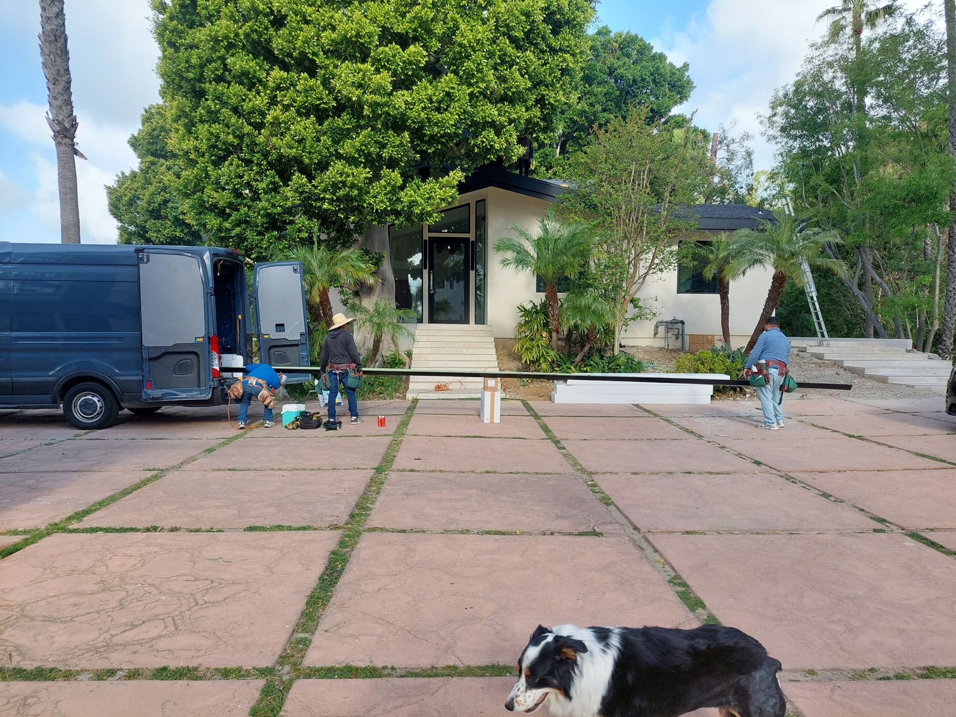 Workers installing paving stones in a front yard beside a van and house, with a dog in the foreground