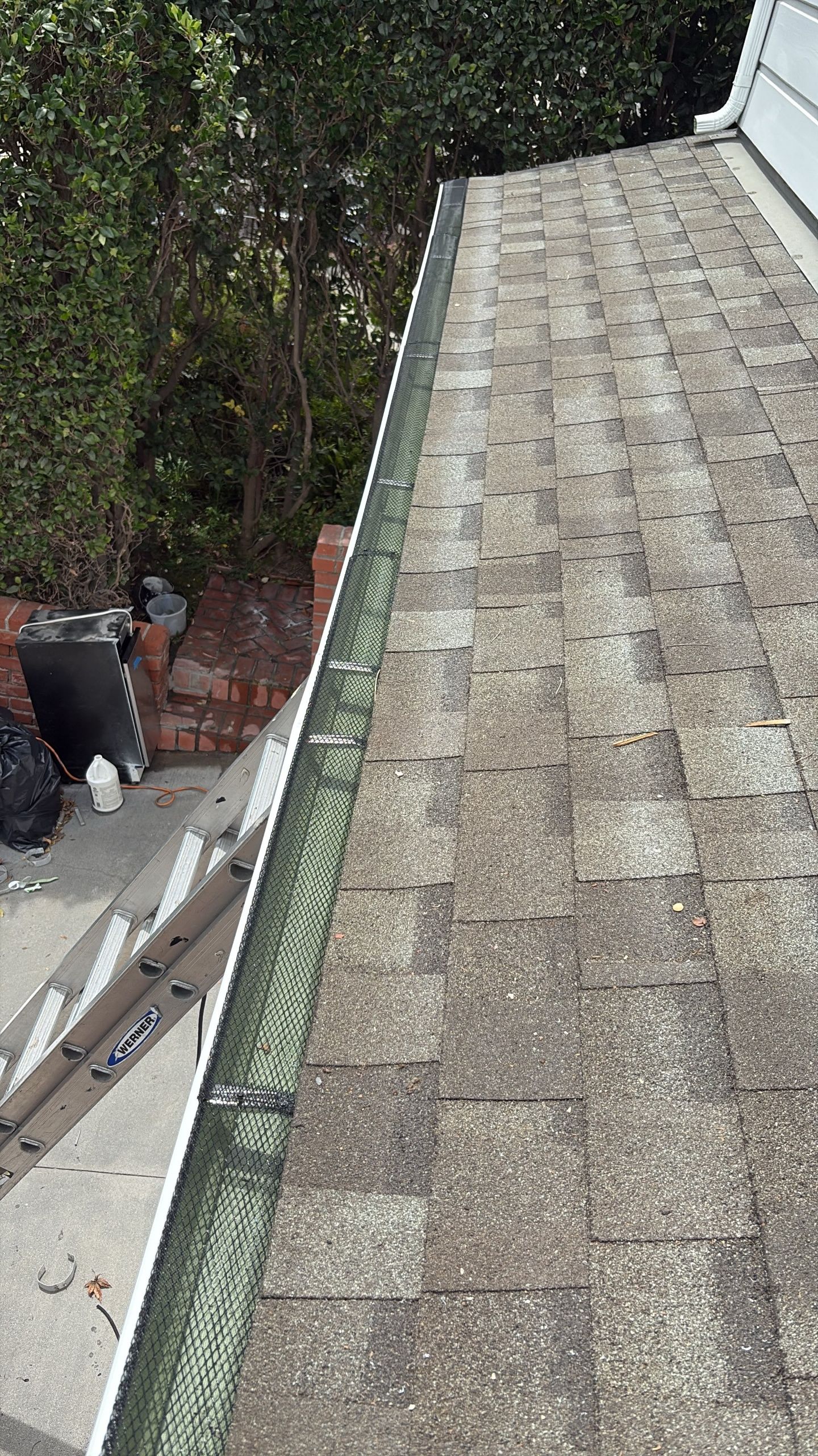 Steep shingled roof beside trees and a white exterior wall