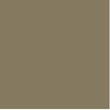 buckskin brown gutter color