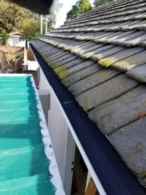 old roof gutter screens