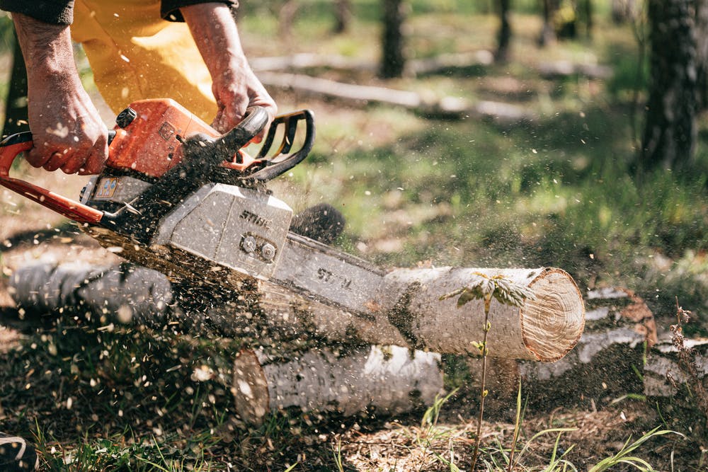 Tree Removal