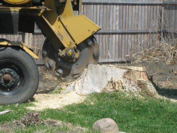 Stump Grinding