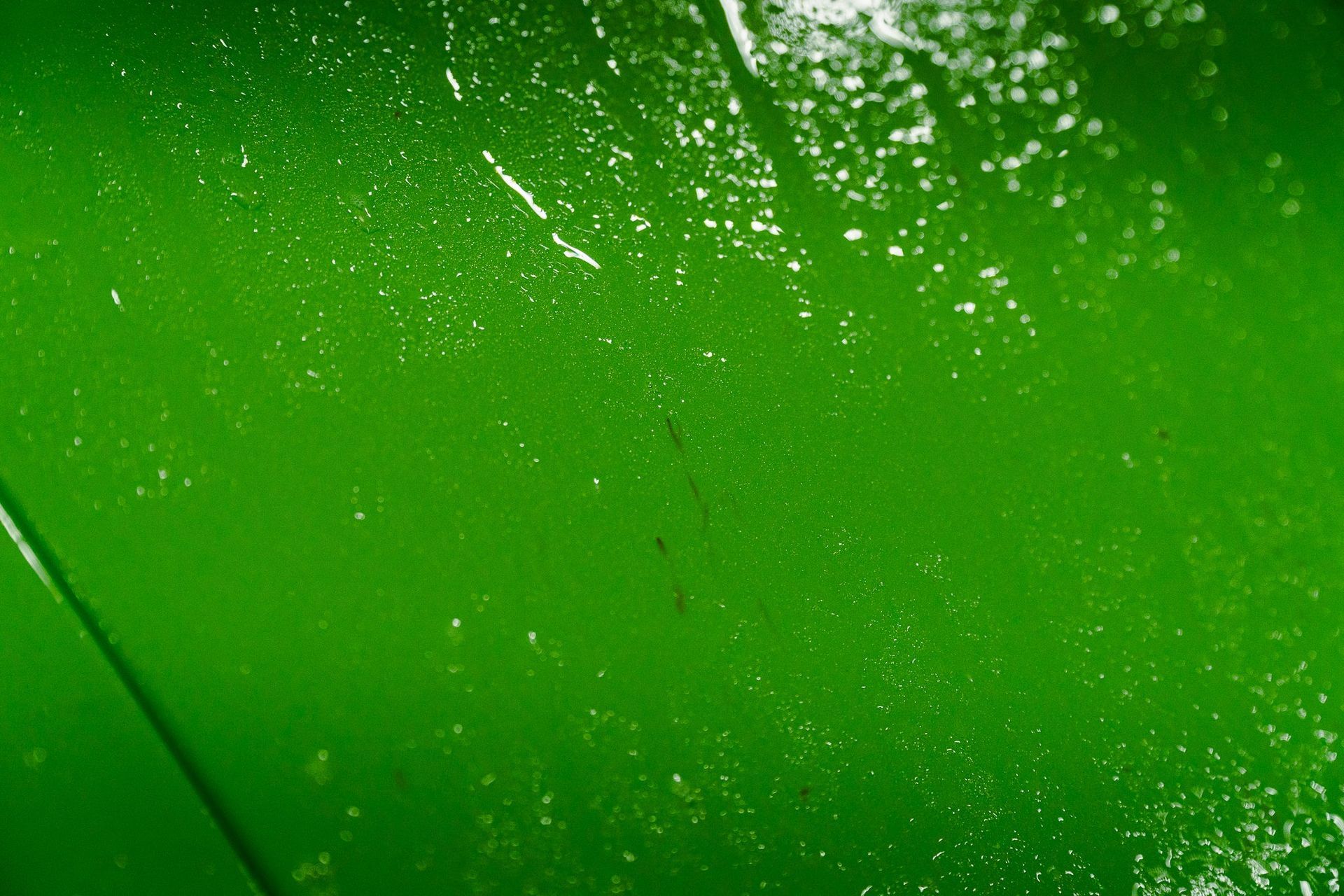 Close-up of a green surface with white speckles and a diagonal line across the frame