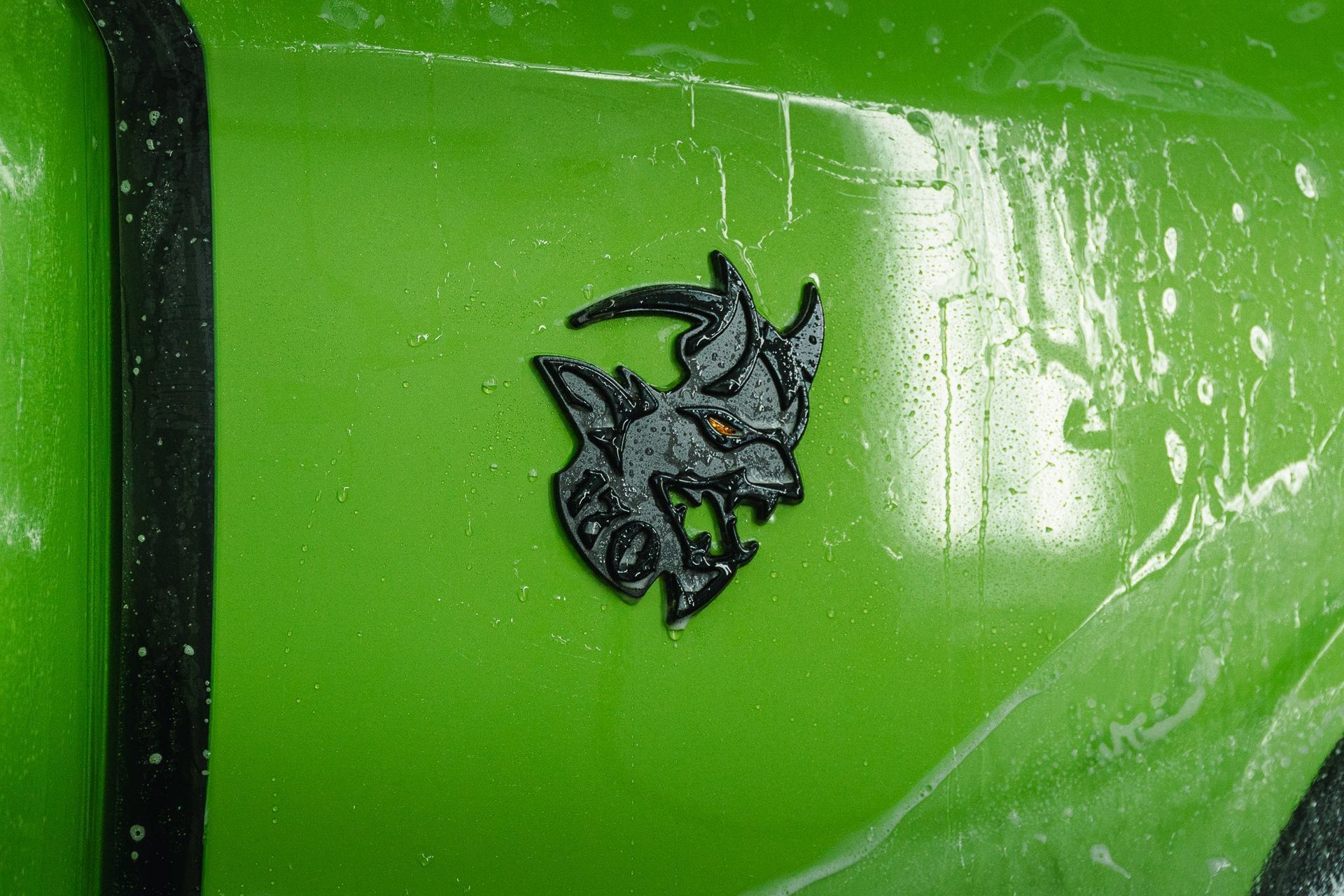 Green vehicle panel with a small dark emblem and a black stripe along the left edge
