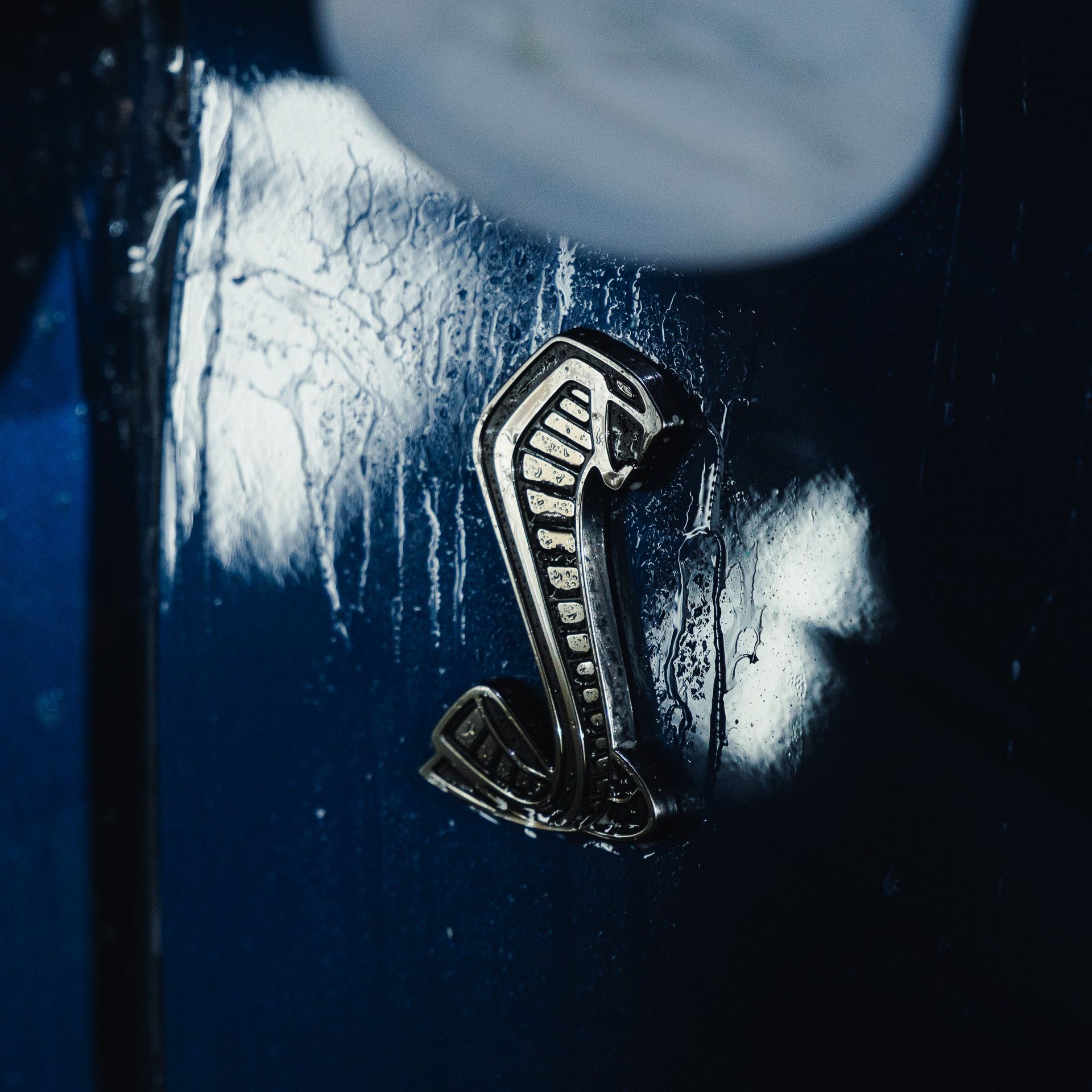 Close-up of a metallic cobra emblem on a dark blue glossy surface with white reflections