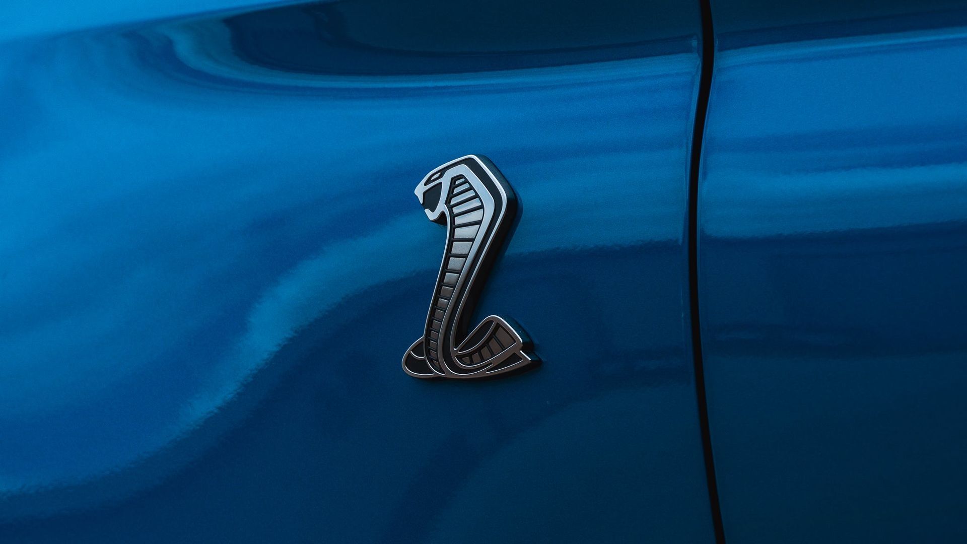 Chrome Cobra emblem on a blue car body panel