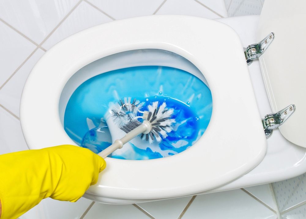 A Person is Cleaning a Toilet With a Brush — Lease Clean Newcastle in Newcastle, NSW