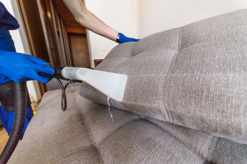 A Person is Cleaning a Couch With a Vacuum Cleaner — Lease Clean Newcastle in Newcastle, NSW