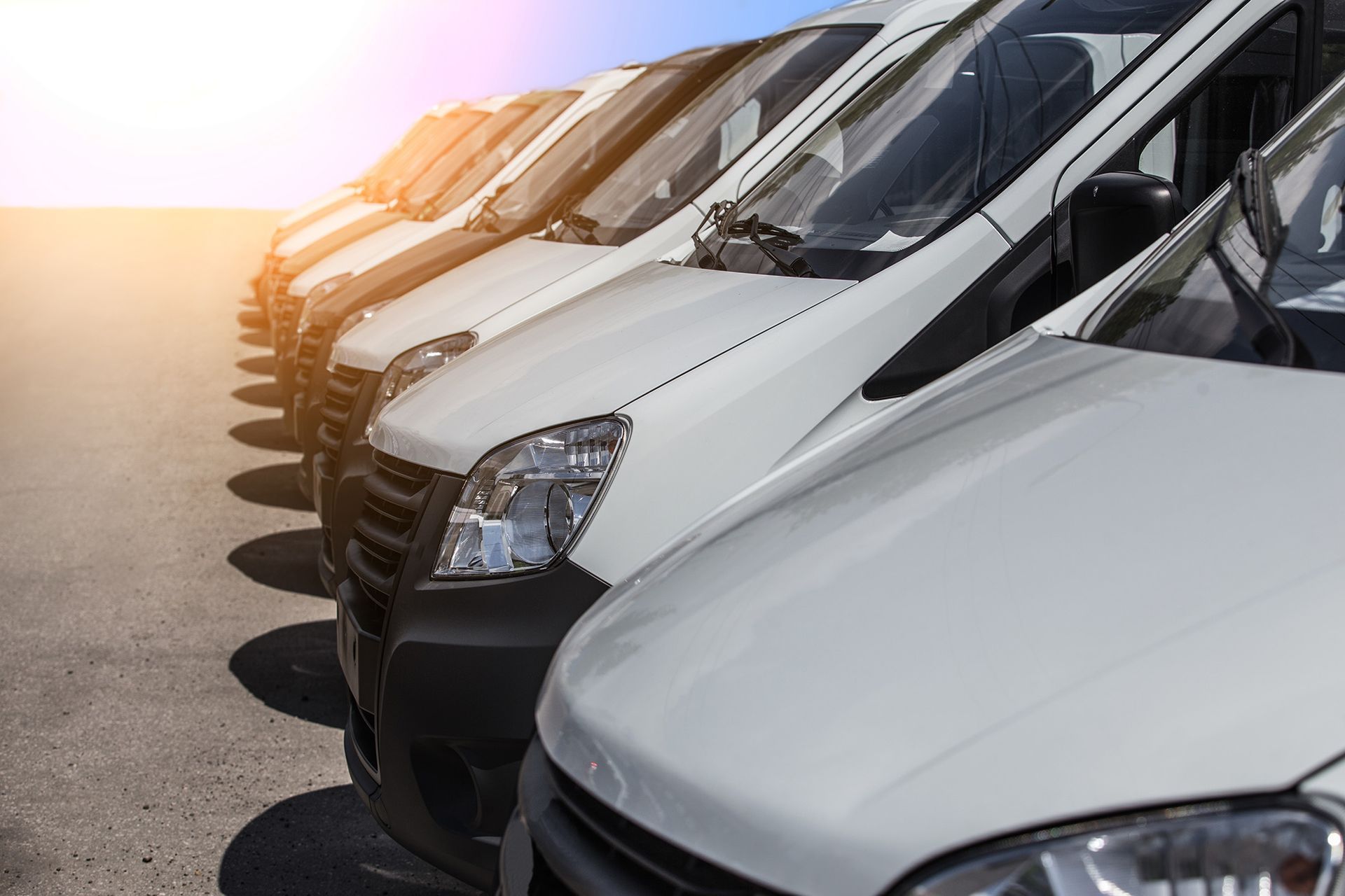 A line of identical white cargo vans parked outdoors on a sunny day.