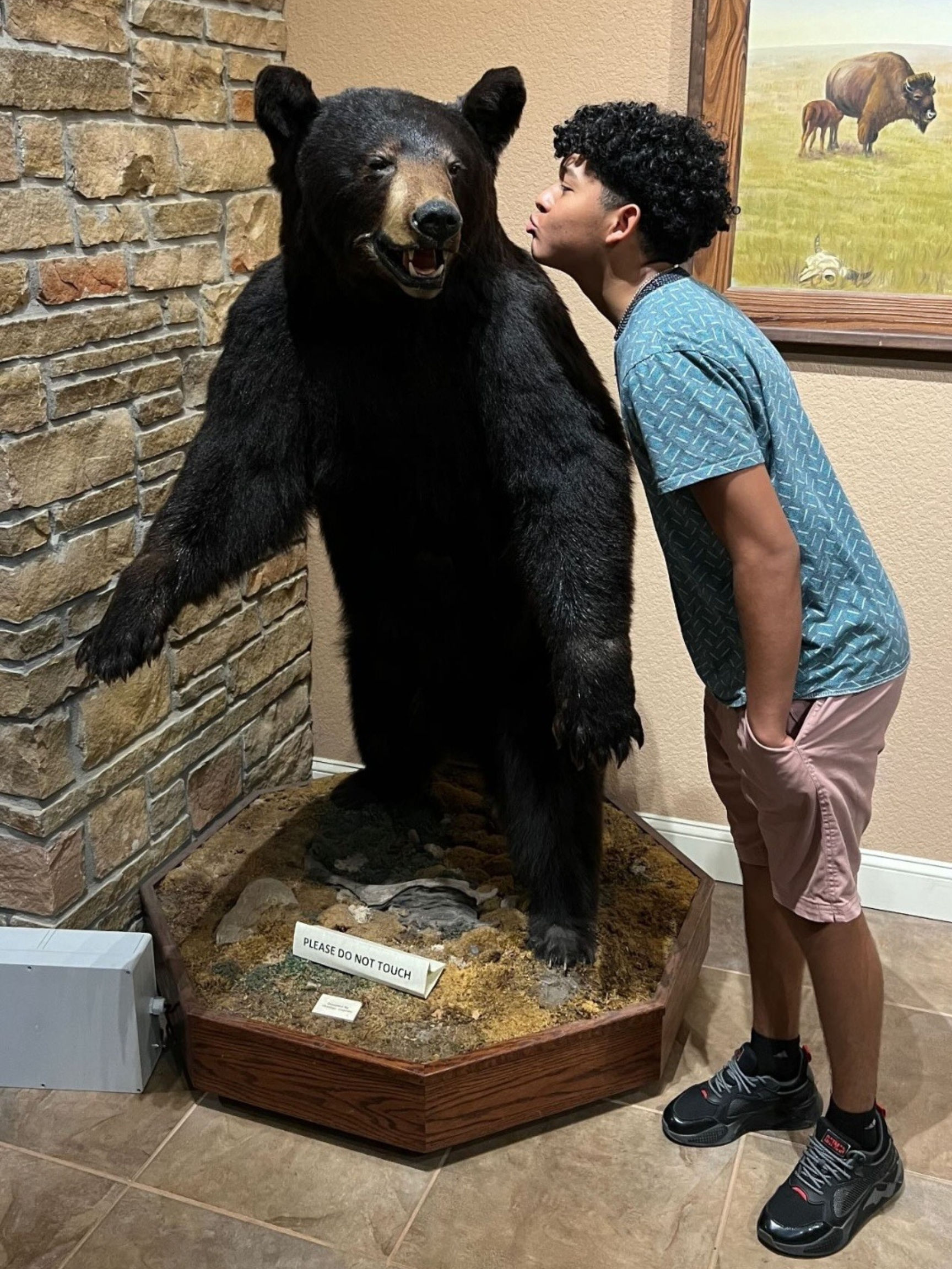 Boy kissing a black bear statue in a museum display, beside a brick wall.