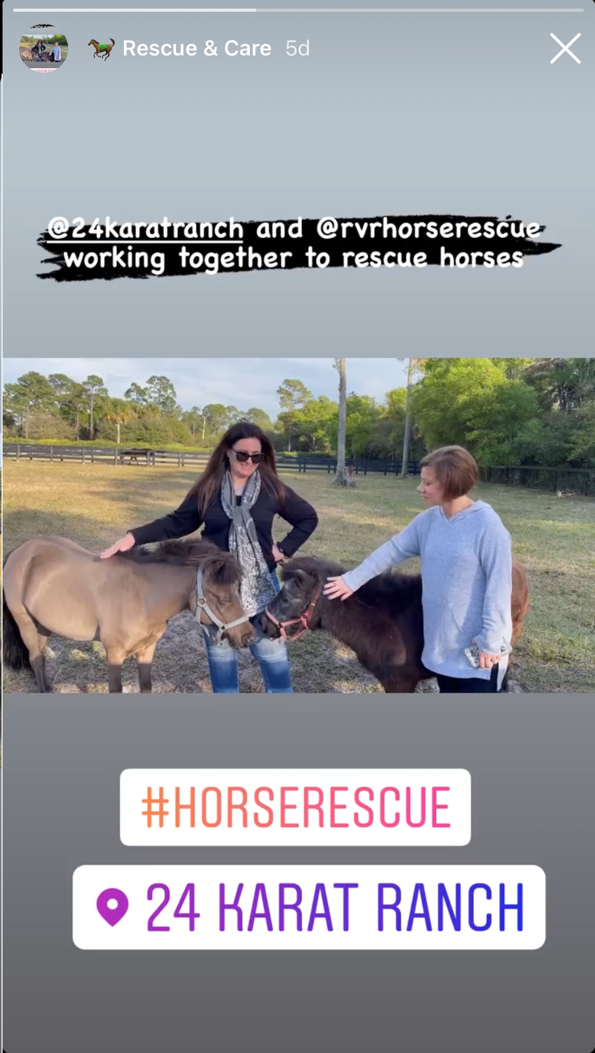 Best Goat Yoga in Palm Beach, FL, customer review for 24 Karat Ranch