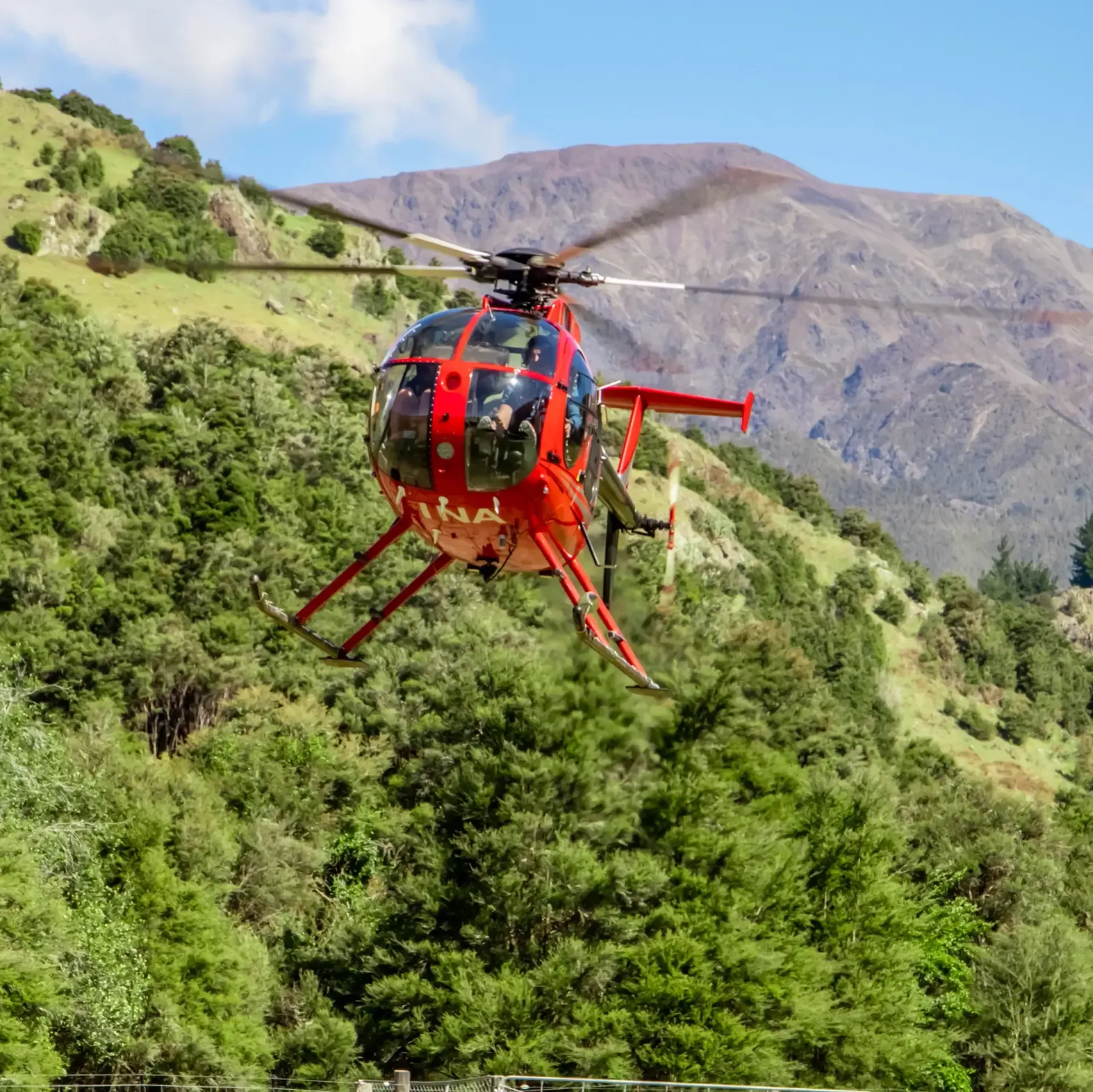 Marlborough things to do,
Best activities Marlborough, Hunting in New Zealand