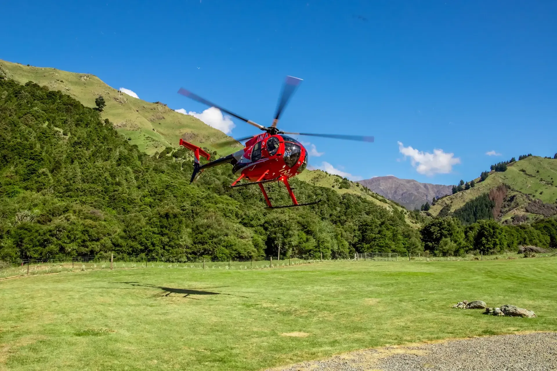Marlborough things to do,
Best activities Marlborough, Hunting in New Zealand