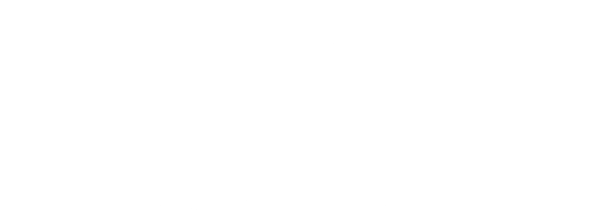 FIT, Females in IT - Future of IT