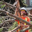 Worker in orange safety gear cutting tree branches with a chainsaw, wearing helmet and goggles.