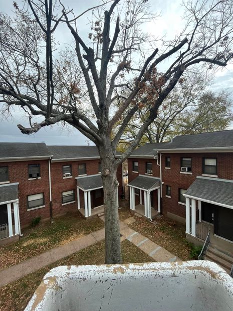 Courtyard of red brick apartments with leafless tree and white car hood in foreground