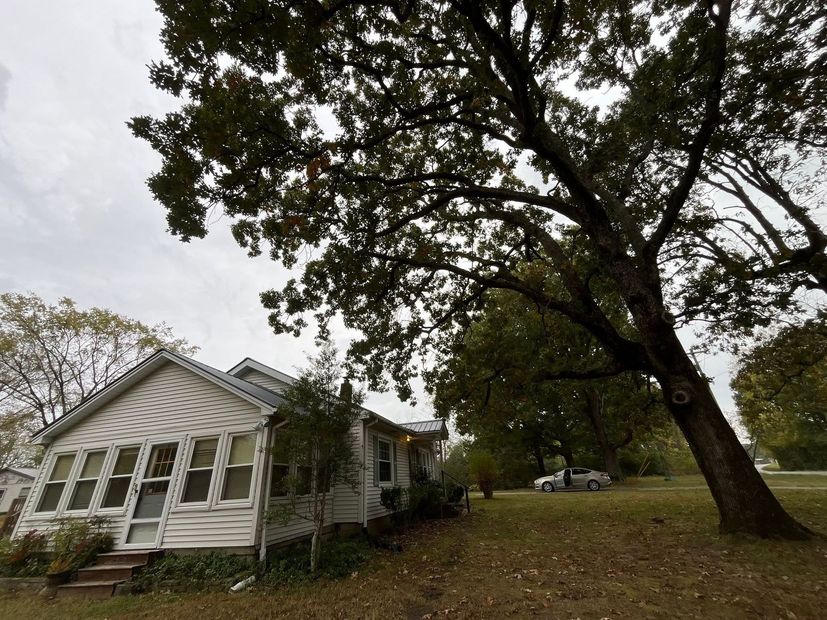 Small white house beside a large leaning tree on a grassy yard under an overcast sky