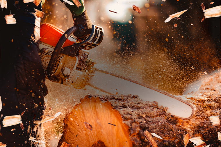 Chainsaw cutting a log, sending wood chips flying in a forest work scene