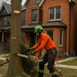 Worker in orange safety gear cutting a tree with a chainsaw beside a brick house