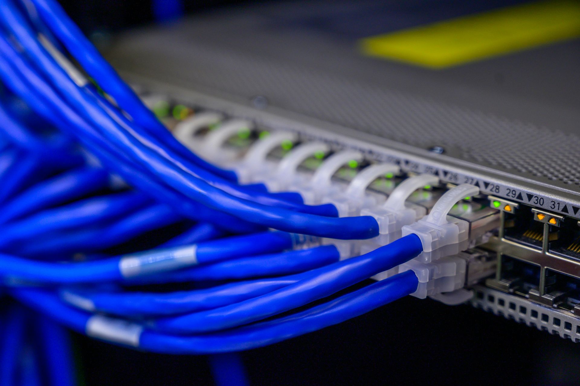 Blue network cables plugged into a server switch.
