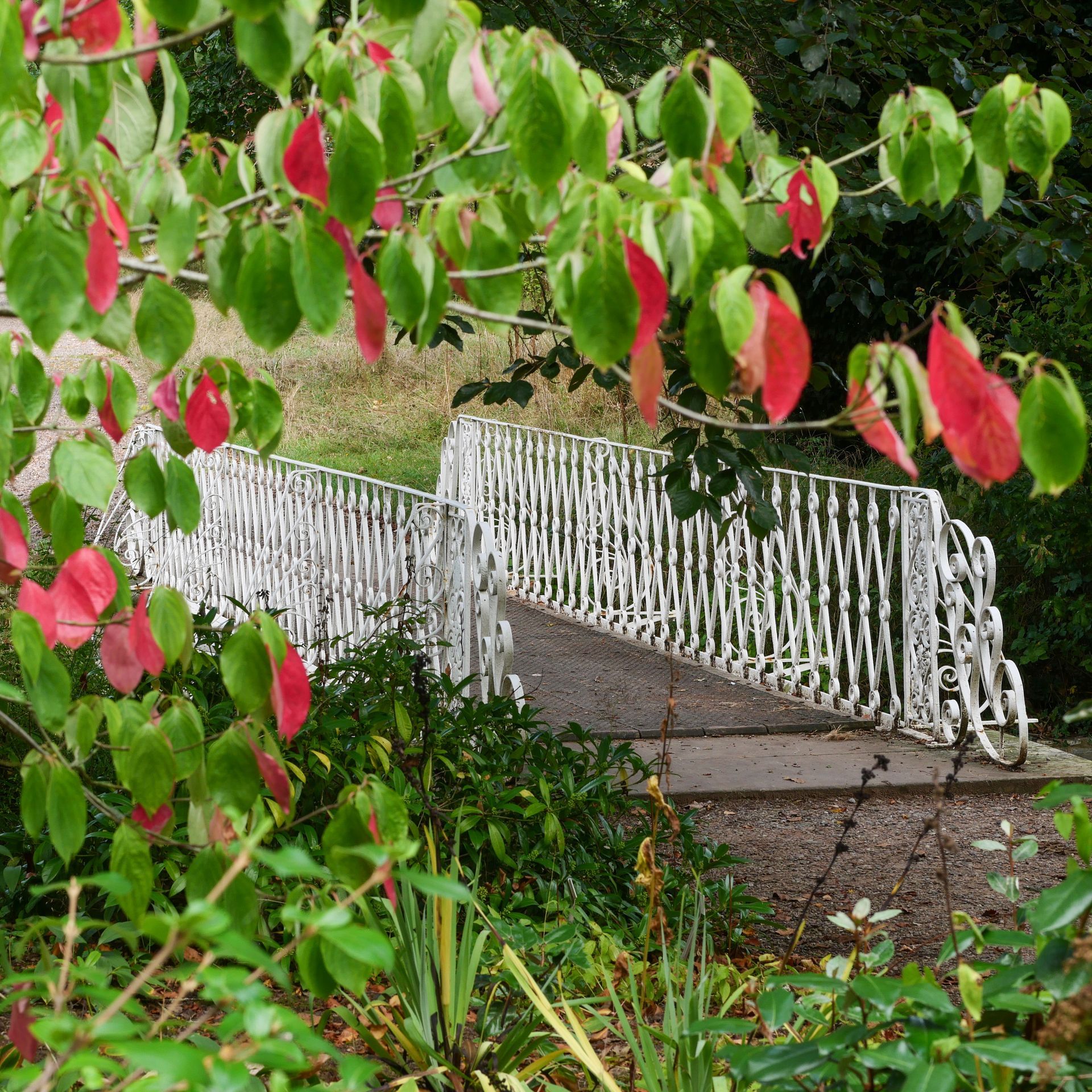 A white fence with red leaves on it