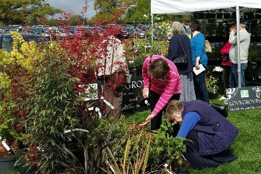 A group of people are looking at plants in a garden.