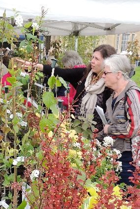 A group of women are standing in front of a tent looking at plants.