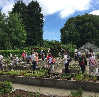 A group of people are standing in a garden on a sunny day
