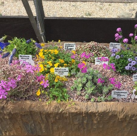 A planter filled with flowers and plants with labels on them