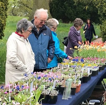 A group of people are looking at flowers on a table