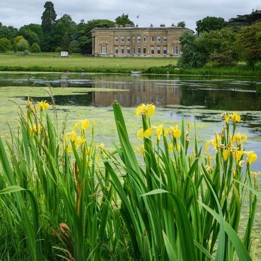 A large building is reflected in the water of a lake