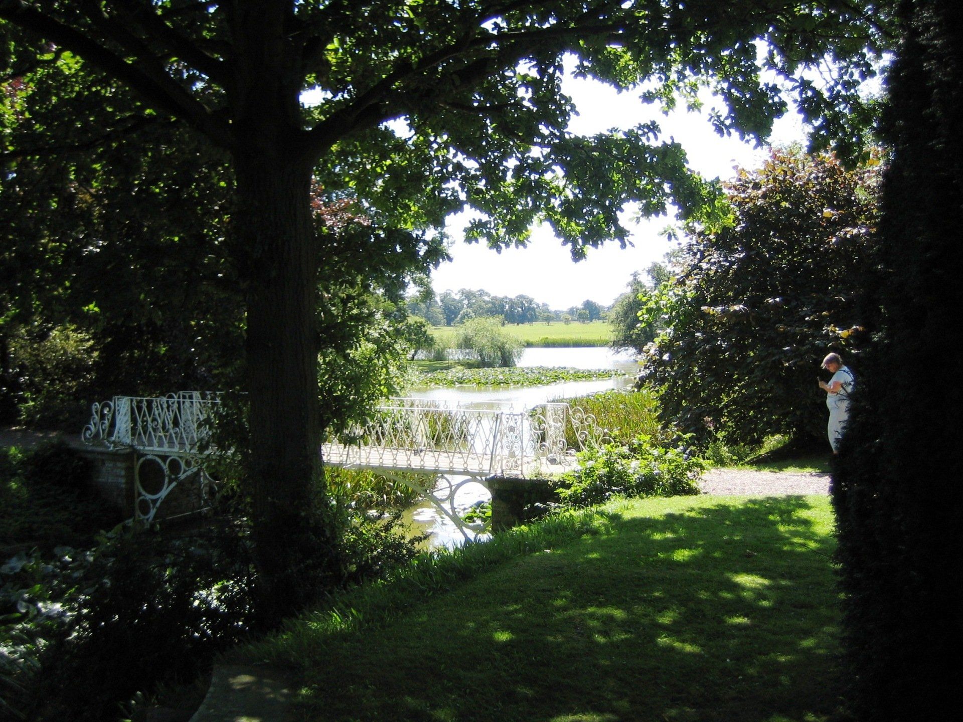 A bridge over a river is visible through the trees
