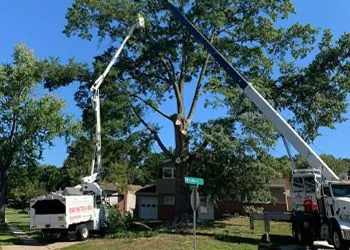 A crane is cutting a tree in a yard.