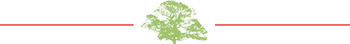 divider line