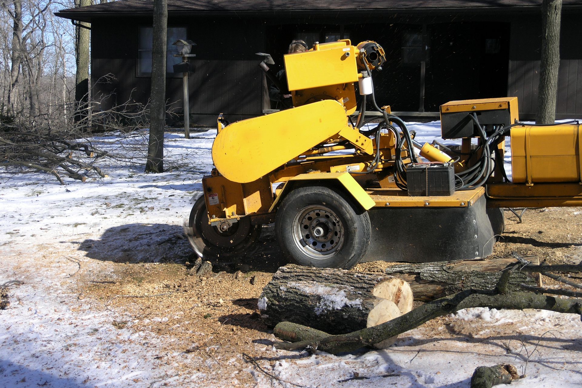 A yellow stump grinder is cutting a tree in front of a house