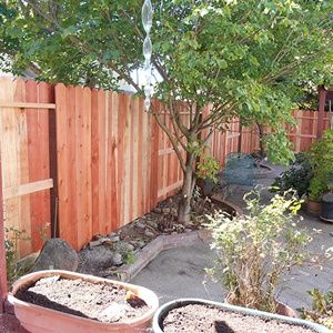 Backyard garden with wooden fence, trees, potted plants, and a small paved patio.